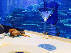 -迪拜帆船酒店海底餐厅