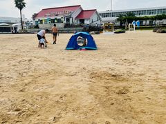 -碧海金沙