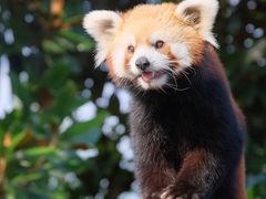 -杭州野生动物世界