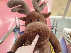 -宜家家居(哈尔滨商场店)