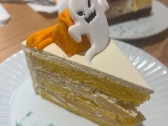 -猫里有甜
