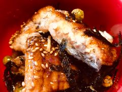 -鳗鱼家·深夜食堂(军博店)