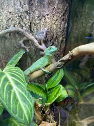 -酷嗒动物文化乐园(cutezoo西溪乐天城店)