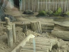 -西安秦岭野生动物园
