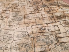 -美的鹭湖探索王国