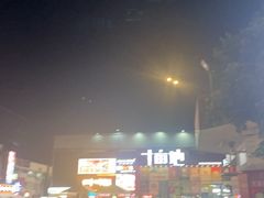 -野萃山·潮汕厚果汁(十亩地店)