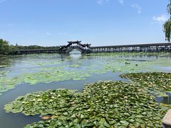 -观桥阁(锦溪店)