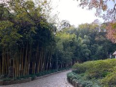 -采石矶景区