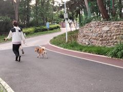 -云岗森林公园