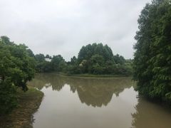 -上海海湾国家森林公园