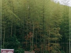 -仙霞关景区