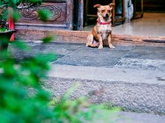 留荫庐-留荫庐旅馆