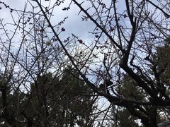 -名古屋城