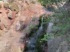 -云岫谷游猎自然风景区