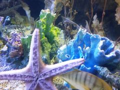 -太平洋海底世界