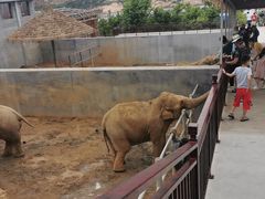 -西霞口神雕山野生动物世界