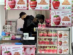 -大阪儿童乐园