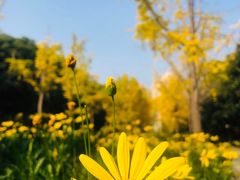 -苏州河梦清园环保主题公园