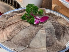 -悦见花开·花园里的火锅·露营·下午茶