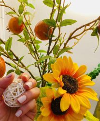 -MONICA BOX美甲美睫