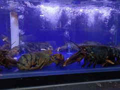 -有喜胶东小馆(超极合生汇太申祥和店)