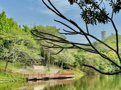 -深圳国际园林花卉博览园