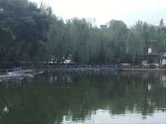 -莲湖公园