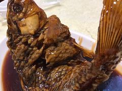 罾蹦鲤鱼-奥华餐厅·老张记(台基厂店)
