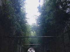 -龙潭水乡
