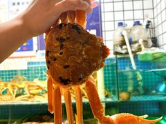 -震海贝烤贝·民俗特色店(延吉总店)