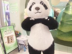 -眉州东坡·熊猫主题餐厅(枫蓝店)