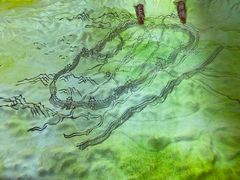 -中国湿地博物馆