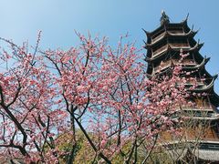 -红梅公园