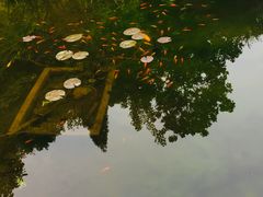 -贵州省植物园