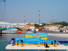 -秦皇岛乐岛海洋王国