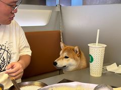 -湊湊火锅·茶憩(南京万象天地店)