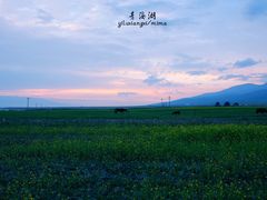 -青海湖国家重点风景名胜区