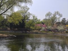 -紫竹院公园-东门停车场