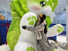 -广州热雪奇迹