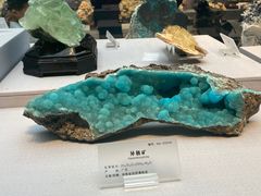 -湖南省地质博物馆