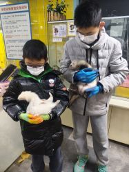 -神奇动物撸宠馆·羊驼·小浣熊·异宠(豫园店)