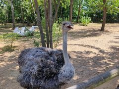 -大连森林动物园