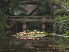 -秋霞圃