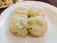 舒蔡记特色生煎-舒蔡记生煎菜饭(云南中路店)