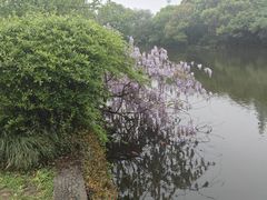 -八卦田遗址公园