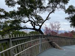 -福道