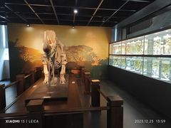 -广东中医药博物馆