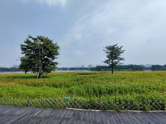 -海珠湖公园