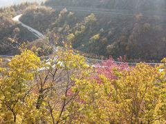 -白草畔自然风景区