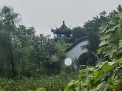 -武汉园博园(武汉自然博物馆)